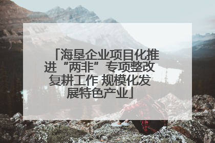 海垦企业项目化推进“两非”专项整改复耕工作 规模化发展特色产业