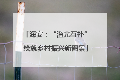海安：“渔光互补” 绘就乡村振兴新图景