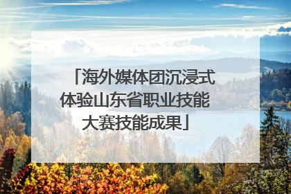 海外媒体团沉浸式体验山东省职业技能大赛技能成果