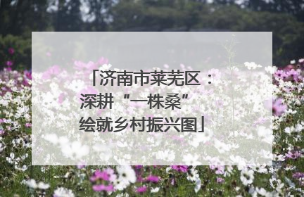 济南市莱芜区：深耕“一株桑” 绘就乡村振兴图