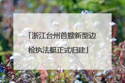 浙江台州首艘新型边检执法艇正式归建