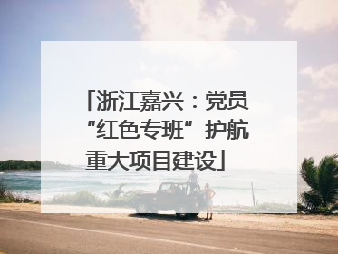 浙江嘉兴：党员“红色专班”护航重大项目建设