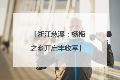 浙江慈溪：杨梅之乡开启丰收季