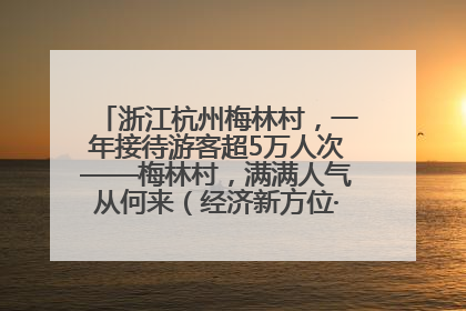 浙江杭州梅林村，一年接待游客超5万人次——梅林村，满满人气从何来（经济新方位·农村消费观察）