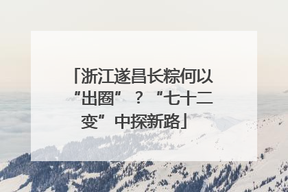 浙江遂昌长粽何以“出圈”？“七十二变”中探新路