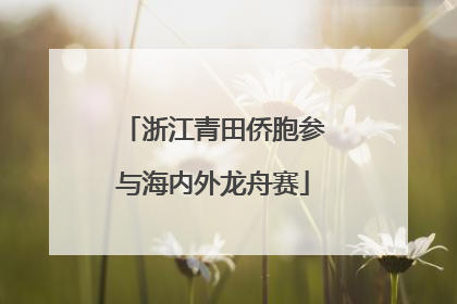 浙江青田侨胞参与海内外龙舟赛