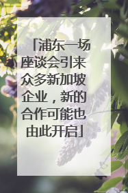 浦东一场座谈会引来众多新加坡企业，新的合作可能也由此开启