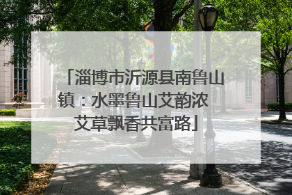 淄博市沂源县南鲁山镇：水墨鲁山艾韵浓 艾草飘香共富路