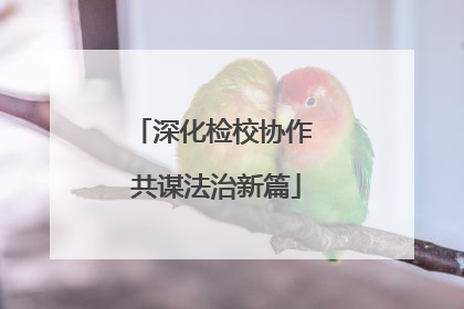 深化检校协作 共谋法治新篇