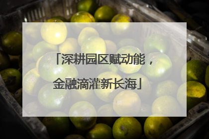 深耕园区赋动能，金融滴灌新长海