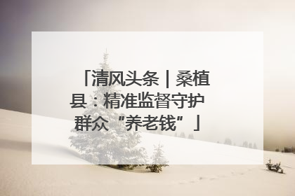 清风头条｜桑植县：精准监督守护群众“养老钱”