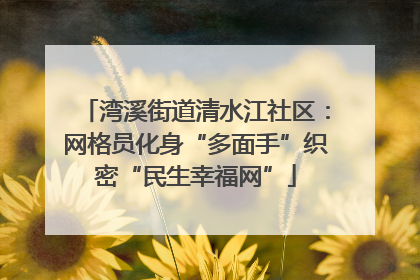 湾溪街道清水江社区：网格员化身“多面手”织密“民生幸福网”