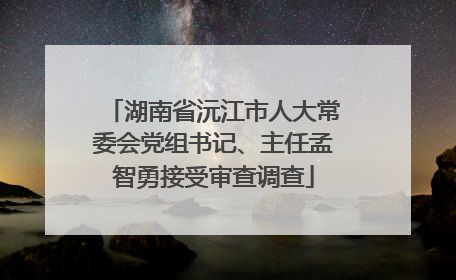 湖南省沅江市人大常委会党组书记、主任孟智勇接受审查调查