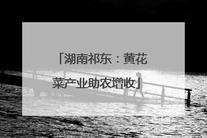 湖南祁东：黄花菜产业助农增收