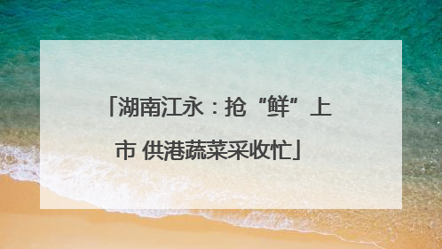 湖南江永：抢“鲜”上市 供港蔬菜采收忙