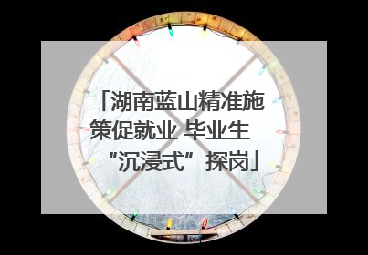 湖南蓝山精准施策促就业 毕业生“沉浸式”探岗