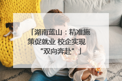 湖南蓝山：精准施策促就业 校企实现“双向奔赴”