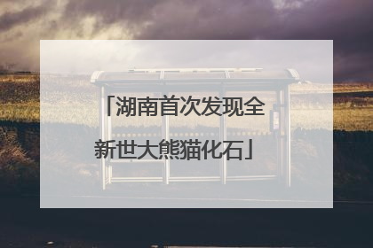 湖南首次发现全新世大熊猫化石