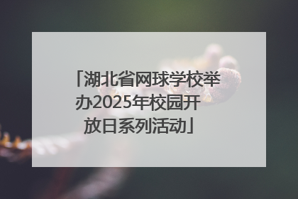 湖北省网球学校举办2025年校园开放日系列活动