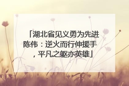 湖北省见义勇为先进陈伟：逆火而行伸援手，平凡之躯亦英雄