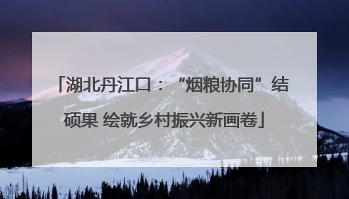 湖北丹江口：“烟粮协同”结硕果 绘就乡村振兴新画卷