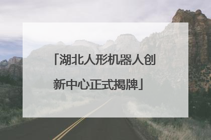 湖北人形机器人创新中心正式揭牌