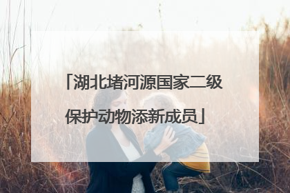 湖北堵河源国家二级保护动物添新成员