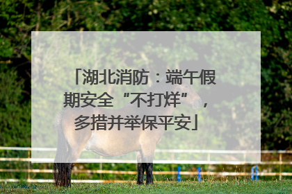 湖北消防：端午假期安全“不打烊”，多措并举保平安