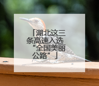 湖北这三条高速入选“全国美丽公路”