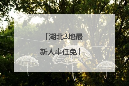 湖北3地最新人事任免