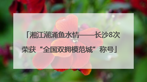 湘江潮涌鱼水情——长沙8次荣获“全国双拥模范城”称号