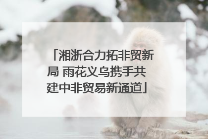 湘浙合力拓非贸新局 雨花义乌携手共建中非贸易新通道