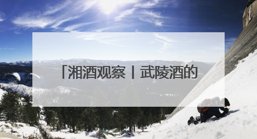 湘酒观察丨武陵酒的三个“五十三 ”