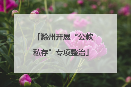 滁州开展“公款私存”专项整治