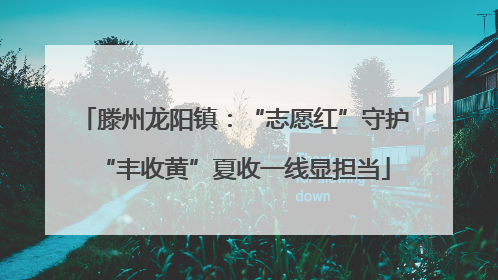滕州龙阳镇：“志愿红”守护“丰收黄”夏收一线显担当