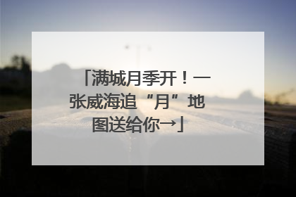 满城月季开！一张威海追“月”地图送给你→