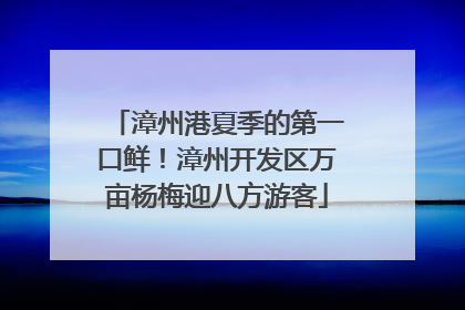 漳州港夏季的第一口鲜！漳州开发区万亩杨梅迎八方游客