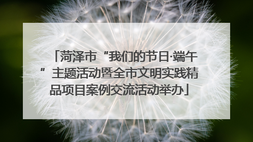 菏泽市“我们的节日·端午”主题活动暨全市文明实践精品项目案例交流活动举办