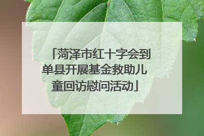 菏泽市红十字会到单县开展基金救助儿童回访慰问活动