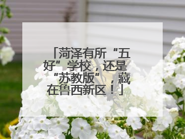 菏泽有所“五好”学校，还是“苏教版”，藏在鲁西新区！