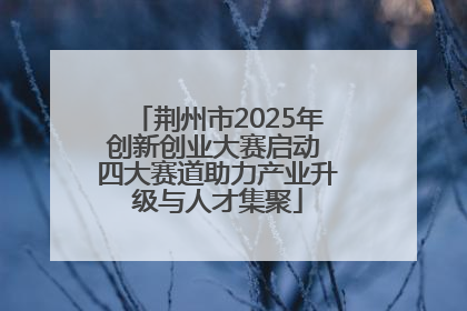 荆州市2025年创新创业大赛启动 四大赛道助力产业升级与人才集聚