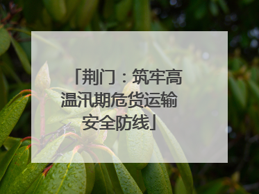 荆门：筑牢高温汛期危货运输安全防线