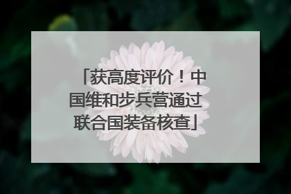 获高度评价！中国维和步兵营通过联合国装备核查