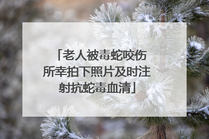 老人被毒蛇咬伤 所幸拍下照片及时注射抗蛇毒血清