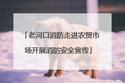 老河口消防走进农贸市场开展消防安全宣传