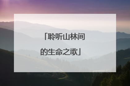 聆听山林间的生命之歌