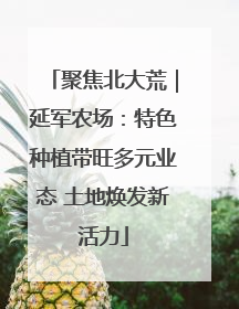 聚焦北大荒｜延军农场：特色种植带旺多元业态 土地焕发新活力