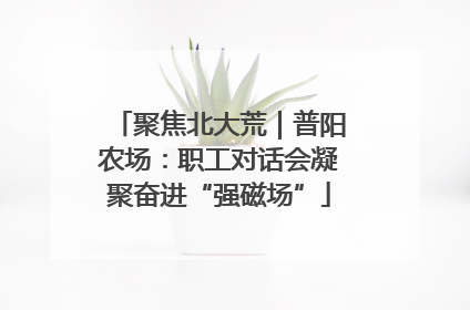 聚焦北大荒｜普阳农场：职工对话会凝聚奋进“强磁场”
