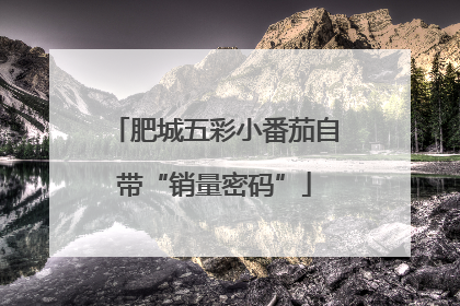 肥城五彩小番茄自带“销量密码”