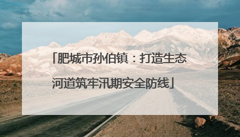 肥城市孙伯镇：打造生态河道筑牢汛期安全防线